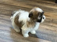 processed/433a9875-db36-4cf1-96ec-dd33106a8335/listing/db52be92-be16-4ea4-a8e9-1fa2e06dc160/74cf75bd-37cb-486b-b38c-d0a767a473ba