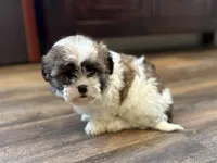 processed/433a9875-db36-4cf1-96ec-dd33106a8335/listing/db52be92-be16-4ea4-a8e9-1fa2e06dc160/8bca5a2f-c8e6-45a1-bbda-941ad9a6774a