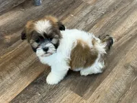 processed/433a9875-db36-4cf1-96ec-dd33106a8335/listing/db52be92-be16-4ea4-a8e9-1fa2e06dc160/f83de889-b8fc-4d8b-a94d-a4f87bc797f9