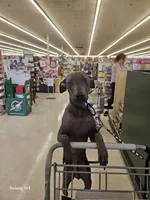 processed/4346bab4-94ae-454f-971f-facc47d1fc36/facility/01aac85d-dd4c-44af-a3b4-a7a3553f4c55