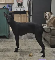 processed/4346bab4-94ae-454f-971f-facc47d1fc36/facility/9a5b733f-a744-4a21-8db9-e279bb439dde