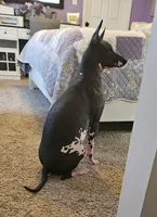 processed/4346bab4-94ae-454f-971f-facc47d1fc36/facility/a6d406dc-498f-40e3-87cd-6765c591443e