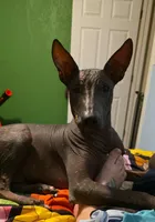 processed/4346bab4-94ae-454f-971f-facc47d1fc36/facility/c4c4beaf-0d66-4ddc-a8f8-1690f959c7cb