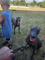 processed/4346bab4-94ae-454f-971f-facc47d1fc36/facility/ee969a3b-60fd-4ce9-a18a-5d46e6f4f913