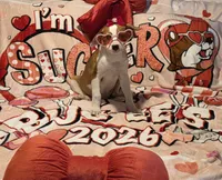 processed/4346bab4-94ae-454f-971f-facc47d1fc36/listing/075d9893-9b3b-49c8-b8e7-fca3823611e1/235bbe9c-0d82-4768-b103-958cbd50bad9