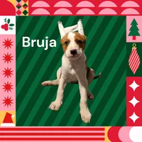 processed/4346bab4-94ae-454f-971f-facc47d1fc36/listing/075d9893-9b3b-49c8-b8e7-fca3823611e1/25fa208a-35fd-437a-8437-4e3bf12a7a9c