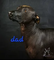 processed/4346bab4-94ae-454f-971f-facc47d1fc36/listing/075d9893-9b3b-49c8-b8e7-fca3823611e1/2f8d5840-b2c4-4819-9e49-dc9f7c464902