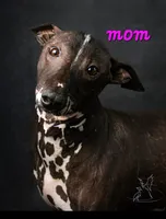 processed/4346bab4-94ae-454f-971f-facc47d1fc36/listing/075d9893-9b3b-49c8-b8e7-fca3823611e1/31f9c602-7541-42a9-9905-dc025fba2048