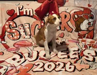 processed/4346bab4-94ae-454f-971f-facc47d1fc36/listing/075d9893-9b3b-49c8-b8e7-fca3823611e1/daa7c254-939a-430a-9056-08c3e628a8e7