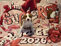 processed/4346bab4-94ae-454f-971f-facc47d1fc36/listing/075d9893-9b3b-49c8-b8e7-fca3823611e1/f89d5bbc-d1a3-4cc1-a295-927303f8fa7a