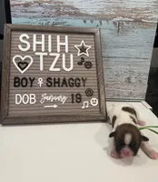 processed/4349edfe-65f6-4b78-9a87-6bf81357ac52/listing/0079017e-3799-4b75-9664-07f0eb13ca1d/aac9867b-a323-4373-b619-21652b5c8aa4