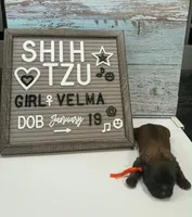 processed/4349edfe-65f6-4b78-9a87-6bf81357ac52/listing/7362491c-0f8e-4009-9e66-d58925cc590e/2f16c0a0-6697-4792-a66e-d147a9536b12