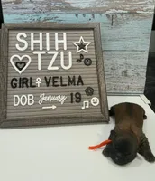 processed/4349edfe-65f6-4b78-9a87-6bf81357ac52/listing/7362491c-0f8e-4009-9e66-d58925cc590e/f5a2c950-0e97-4a9d-9a07-9058df9933f2