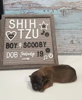 processed/4349edfe-65f6-4b78-9a87-6bf81357ac52/listing/f18be4c2-0e2d-45f9-9466-b326370fea96/b1187cae-487f-4049-a8ce-593c827b0d65