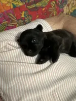 processed/4365b52a-05a0-4cdc-b192-b73f02ec6165/facility/00d6bdd7-51a3-49e4-8336-c87f2828cc6c