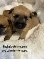 processed/4365b52a-05a0-4cdc-b192-b73f02ec6165/facility/06e3f1d9-6327-4027-982e-9ead0fb9a8b1