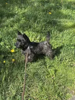 processed/4365b52a-05a0-4cdc-b192-b73f02ec6165/facility/1efc139c-8409-4f75-b2c3-0e94ed9d159d