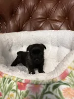 processed/4365b52a-05a0-4cdc-b192-b73f02ec6165/facility/2ef94fde-a38d-4959-9025-11804eb4bfc0