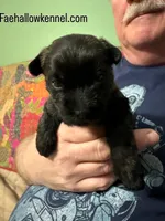 processed/4365b52a-05a0-4cdc-b192-b73f02ec6165/facility/393c8a95-9cfc-4fdd-bf39-6c27d6f448ed