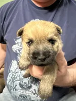 processed/4365b52a-05a0-4cdc-b192-b73f02ec6165/facility/3d847a71-a51a-4ca9-8139-de72d7ffe469