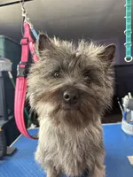 processed/4365b52a-05a0-4cdc-b192-b73f02ec6165/facility/ae8cee2c-5f9e-4aad-a4c2-289b3e2b6e50