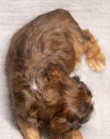 processed/436b66aa-1c43-463b-8905-b30a18094ba4/listing/52067acd-65e4-4568-8107-bbfb2a828b34/255b8f65-b021-4d7f-890d-fe05f92a5e0d