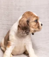 processed/436b66aa-1c43-463b-8905-b30a18094ba4/listing/5e80726c-93d1-4cf7-9fae-344585546187/b5fbc837-d769-4f83-aa01-fbd77be7ad64