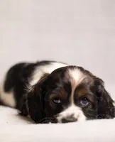 processed/436b66aa-1c43-463b-8905-b30a18094ba4/listing/b6d6d617-11f6-46a4-9b73-6a158b146049/7a16c0d3-c662-410b-9b17-f000b3fc02a0