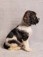 processed/436b66aa-1c43-463b-8905-b30a18094ba4/listing/b6d6d617-11f6-46a4-9b73-6a158b146049/96e1d8c2-b7ee-420a-8b59-7c4c10a7c86d