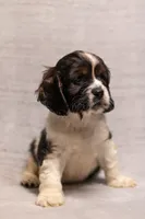 processed/436b66aa-1c43-463b-8905-b30a18094ba4/listing/f1ca10df-a6b0-4952-89b6-2f1fce5664fc/e5905c1b-c13c-482a-ae40-e6f7c31ba17a