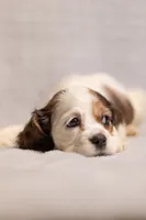 processed/436b66aa-1c43-463b-8905-b30a18094ba4/listing/f9f18f60-f2ec-494d-8dab-522bd3a1b4dd/1ed7ec45-d0d0-4a8d-a131-3cb185027604