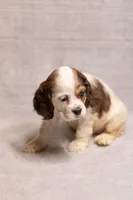 processed/436b66aa-1c43-463b-8905-b30a18094ba4/listing/f9f18f60-f2ec-494d-8dab-522bd3a1b4dd/f7ccaa96-bc06-4f7f-889d-da0de9829329