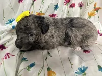 processed/4371235e-6400-4afb-841f-654a88f0ca2c/listing/03a13316-c209-415f-8b70-f965db44c6e6/7f6091c7-dc05-432e-9bec-634212f58444