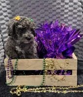 processed/4371235e-6400-4afb-841f-654a88f0ca2c/listing/03a13316-c209-415f-8b70-f965db44c6e6/a9e42703-e172-4181-a56f-050204366ae2