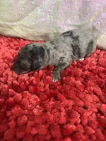 processed/4371235e-6400-4afb-841f-654a88f0ca2c/listing/03a13316-c209-415f-8b70-f965db44c6e6/bb1e36d9-b8df-4877-913e-4ab12dedf723