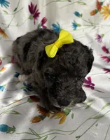 processed/4371235e-6400-4afb-841f-654a88f0ca2c/listing/03a13316-c209-415f-8b70-f965db44c6e6/ce719c3a-c6aa-4804-aad7-3fe27ad61941