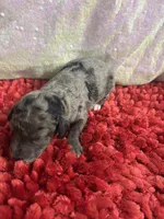 processed/4371235e-6400-4afb-841f-654a88f0ca2c/listing/03a13316-c209-415f-8b70-f965db44c6e6/d67715e1-8063-4cc2-8e05-c58a5c89afbf