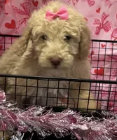 processed/4371235e-6400-4afb-841f-654a88f0ca2c/listing/8e162add-982d-4a4c-90ba-c478134dabe6/173d8d99-3aa9-4d22-8f2f-01fe350022a4