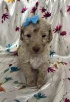 processed/4371235e-6400-4afb-841f-654a88f0ca2c/listing/8e162add-982d-4a4c-90ba-c478134dabe6/7a667f3c-1f32-442e-9619-e21d6a64644b