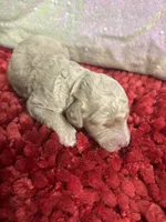 processed/4371235e-6400-4afb-841f-654a88f0ca2c/listing/8e162add-982d-4a4c-90ba-c478134dabe6/fa255fea-f453-4512-a289-e0737c692210