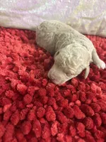 processed/4371235e-6400-4afb-841f-654a88f0ca2c/listing/8e162add-982d-4a4c-90ba-c478134dabe6/fff710fb-4c91-41f3-a1d3-1e771ff67d18