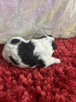 processed/4371235e-6400-4afb-841f-654a88f0ca2c/listing/f031fd05-9330-43ab-890a-00945e195a5d/b0602d0a-f75e-4213-bf5f-6343b3cb7b41