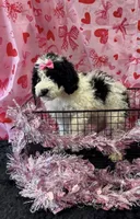 processed/4371235e-6400-4afb-841f-654a88f0ca2c/listing/f031fd05-9330-43ab-890a-00945e195a5d/c996f499-e4a7-4139-bec2-f193afbac5fb