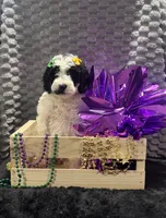 processed/4371235e-6400-4afb-841f-654a88f0ca2c/listing/f031fd05-9330-43ab-890a-00945e195a5d/dffb4332-dde3-47f2-a574-e9a9ce915c88