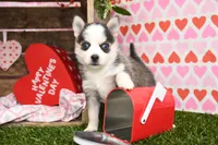 processed/437974a7-a463-427c-8264-8e668b295d69/listing/04472d73-afb3-4f77-b202-be70fba95568/64d46b51-10f1-492d-b592-d2e9bc324277