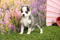 processed/437974a7-a463-427c-8264-8e668b295d69/listing/04472d73-afb3-4f77-b202-be70fba95568/84f5f18b-78c7-4fd1-941a-2ca3b2964e82