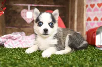 processed/437974a7-a463-427c-8264-8e668b295d69/listing/04472d73-afb3-4f77-b202-be70fba95568/87f76aaa-c444-442c-8fdd-2ea47fe6f519