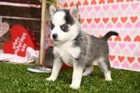 processed/437974a7-a463-427c-8264-8e668b295d69/listing/04472d73-afb3-4f77-b202-be70fba95568/a6a9d1ac-6ca4-4e5b-9fd2-1573edaa688b