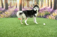 processed/437974a7-a463-427c-8264-8e668b295d69/listing/04472d73-afb3-4f77-b202-be70fba95568/b02cc005-7729-47a3-a3df-88ef3df4275b