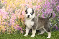 processed/437974a7-a463-427c-8264-8e668b295d69/listing/04472d73-afb3-4f77-b202-be70fba95568/e0dff595-e1f3-4b3a-8944-530e948c2266